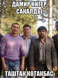 дамир нигер сакалды таштак котакбас