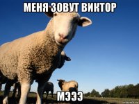 меня зовут виктор мэээ