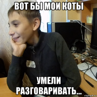 вот бы мои коты умели разговаривать...