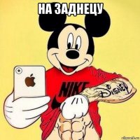 на заднецу 