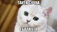 такта сучка ебала его