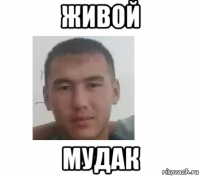 живой мудак