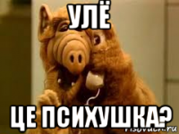 улё це психушка?