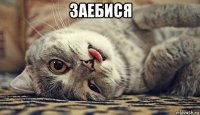 заебися 