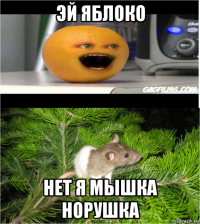 эй яблоко нет я мышка норушка