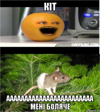 кіт аааааааааааааааааааааааа мені боляче