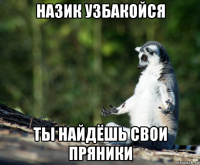 назик узбакойся ты найдёшь свои пряники