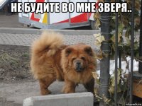 не будите во мне зверя.. 