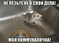 не лезьте не в свои дела! моя коммуналочка!