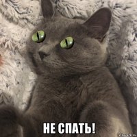  не спать!