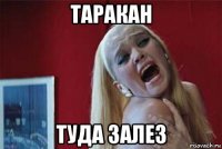 таракан туда залез