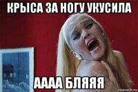 крыса за ногу укусила аааа бляяя