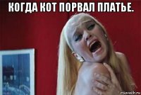 когда кот порвал платье. 