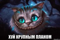  хуй крупным планом