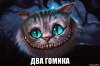  два гомика