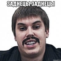 заднецы заднецы 