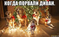 когда порвали диван. 