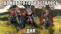 до нового года осталось дня