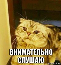  внимательно слушаю