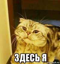  здесь я
