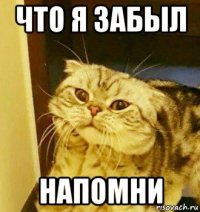 что я забыл напомни