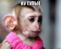 ну тупые 