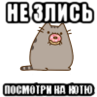 не злись посмотри на котю
