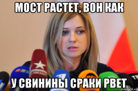 мост растет, вон как у свинины сраки рвет
