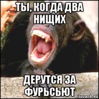 ты, когда два нищих дерутся за фурьсьют