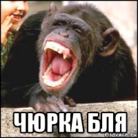  чюрка бля
