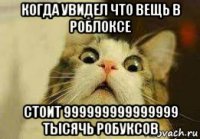 когда увидел что вещь в роблоксе стоит 999999999999999 тысячь робуксов