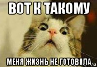 вот к такому меня жизнь не готовила