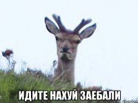  идите нахуй заебали