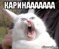 каринааааааа 
