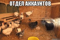 отдел аккаунтов 