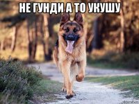 не гунди а то укушу 