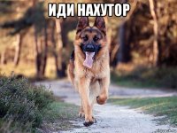 иди нахутор 
