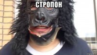 стропон 