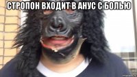 стропон входит в анус с болью 