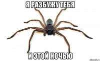 я разбужу тебя и этой ночью