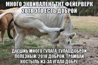 много эквивалент тнт фейерверк 2018 это есть доброй даёшйь много гулага. гулаг доброй полезный. 2018 доброй, трамвай костыль из-за угала добре