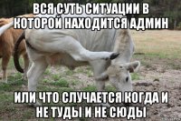 вся суть ситуации в которой находится админ или что случается когда и не туды и не сюды