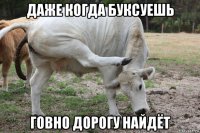 даже когда буксуешь говно дорогу найдёт