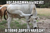 когда админ быксует а говно дорогу находит