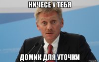 ничесе у тебя домик для уточки