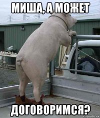миша, а может договоримся?