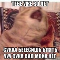 тебе уже 30 лет сукаа бееесишь блять ууу сука сил моих нет