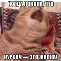 когда поняла, что курсач — это жопка!