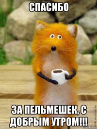 спасибо за пельмешек, с добрым утром!!!
