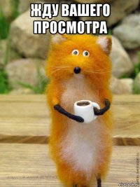жду вашего просмотра 